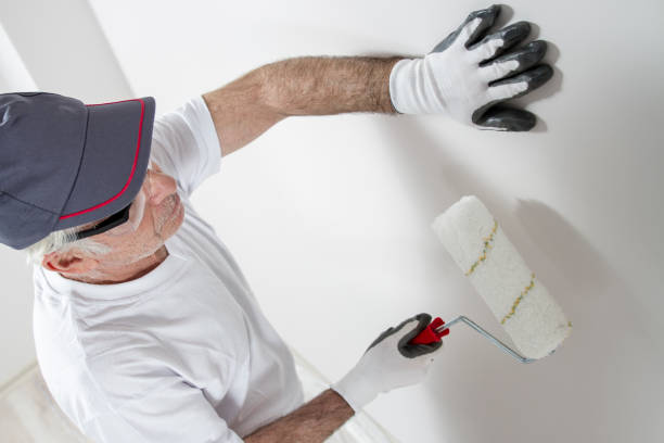 Best Emergency Mold Remediation  in Willoughby Hills, OH