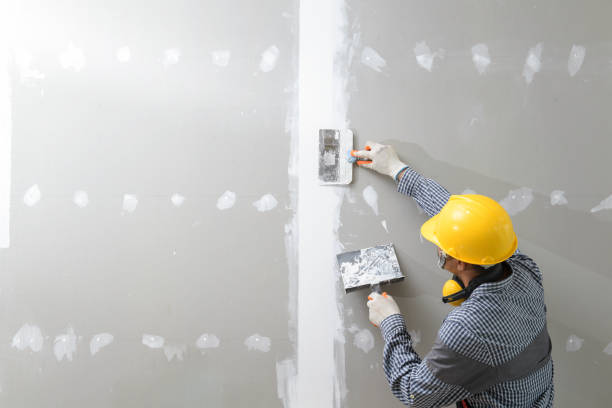 Best Basement Mold Removal  in Willoughby Hills, OH