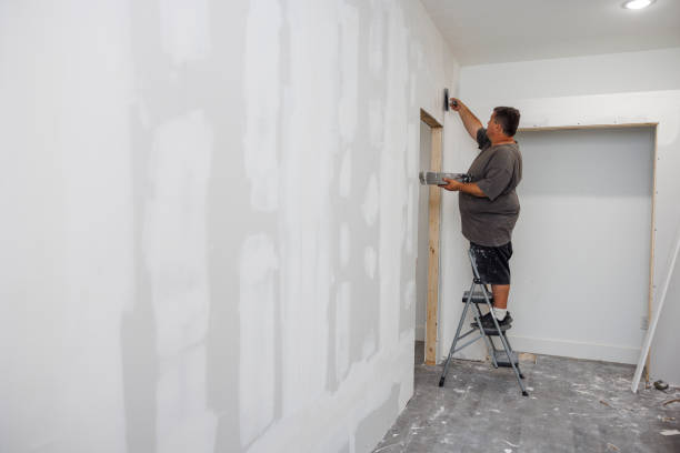 Best Mold-Related Health Consultation  in Willoughby Hills, OH