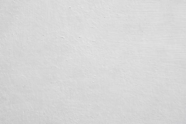 Best Environmental Consulting for Mold Prevention  in Willoughby Hills, OH